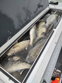 Lakeside Marblehead Report Photo 2