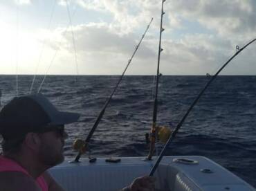 Puerto Aventuras Report Photo 2