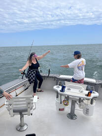 Yesterdays half day trips