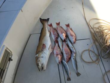 Freeport Report Photo 1