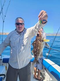 Cabo San Lucas Report Photo 2