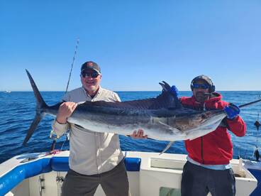 Cabo San Lucas Report Photo 1