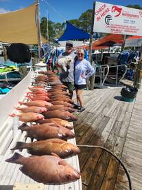 fish are biting