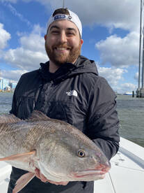 Windy morning Bull Red