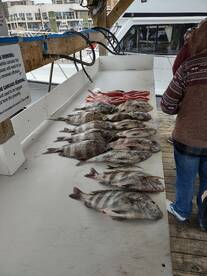 Spring Break Fishing!