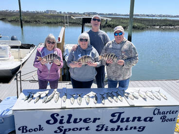 Sheepshead and Mackerel 