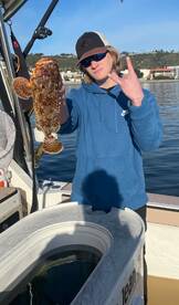 Sculpin, Barred Sand Bass & Halibut