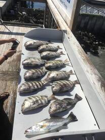 Jacksonville Report Photo 2