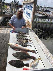 Variety of Fish in the Fall