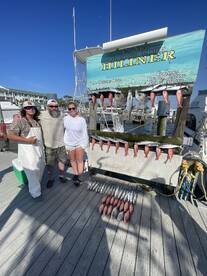 SPRING BITE is FIRE!