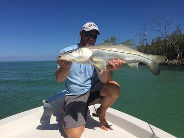 Hot Summertime Aciton!