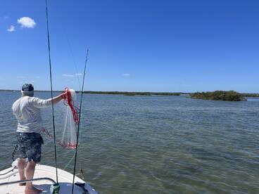 Scituate Report Photo 1