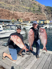 Anonther great morning on Gavito!