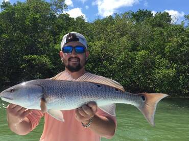 Naples Report Photo 2