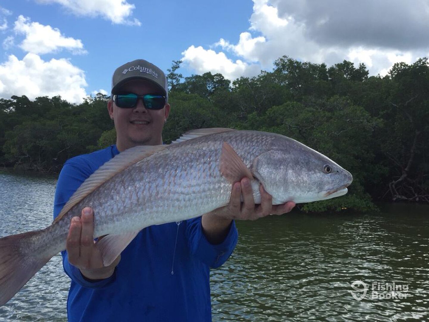 Naples Report Photo 0