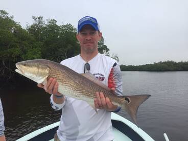 Naples Report Photo 1