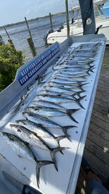 Shalimar Report Photo 1