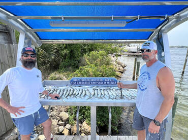 Shalimar Report Photo 2