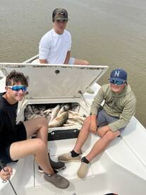 Hundreds of redfish/sheepshead 