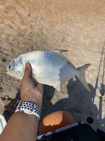 Flagler Beach Report Photo 1