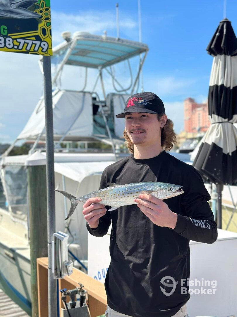 Clearwater Report Photo 0