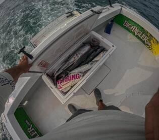 Clearwater Report Photo 2