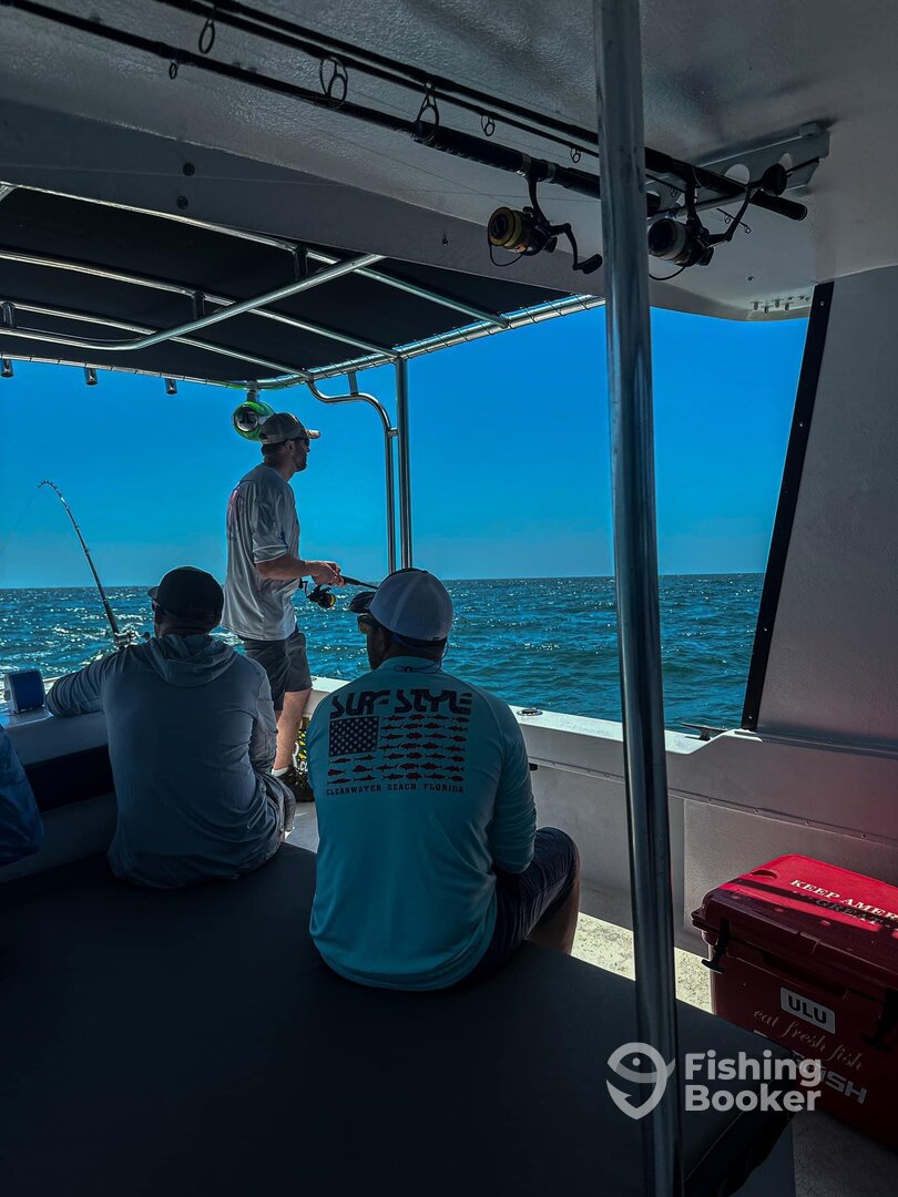 Clearwater Report Photo 0
