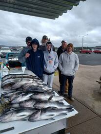 Spring Rockfish and Lingcod