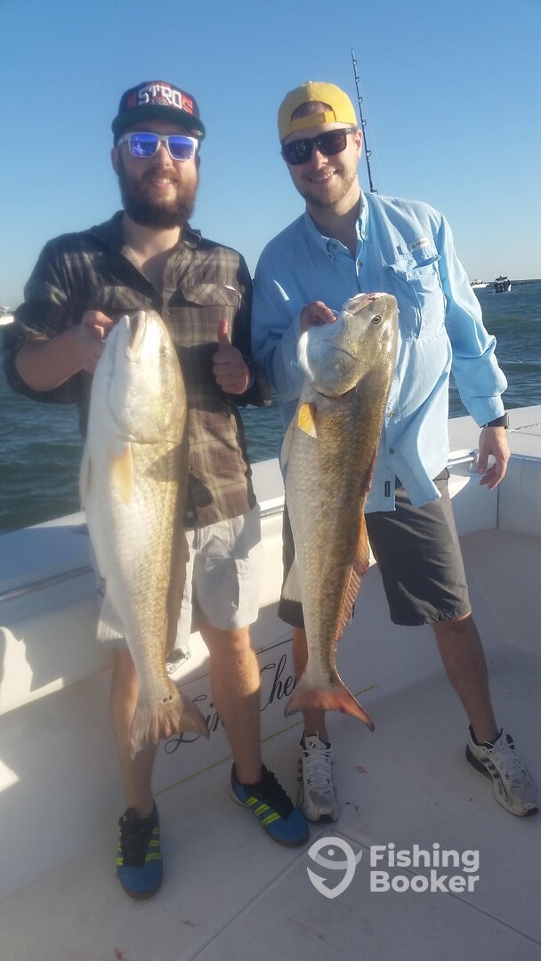Galveston Report Photo 0