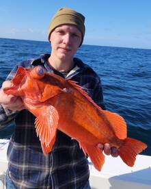 03/04/2023 - 3/4 Day Coronados Islands