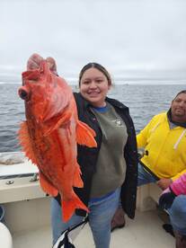 03/13/2023 (3) Halfday trips! - we have 