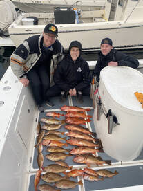 03/20/2023 PM halfday