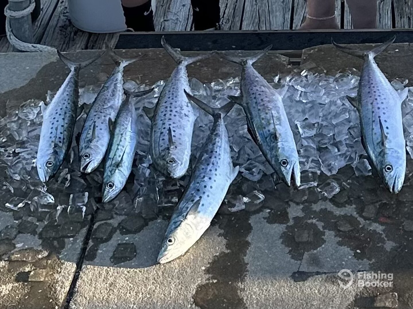 Clearwater Report Photo 0