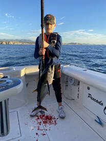 Cabo San Lucas Report Photo 1