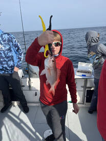 Palm Coast Report Photo 1