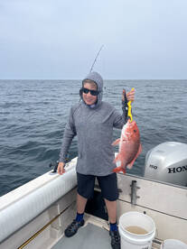 Palm Coast Report Photo 2