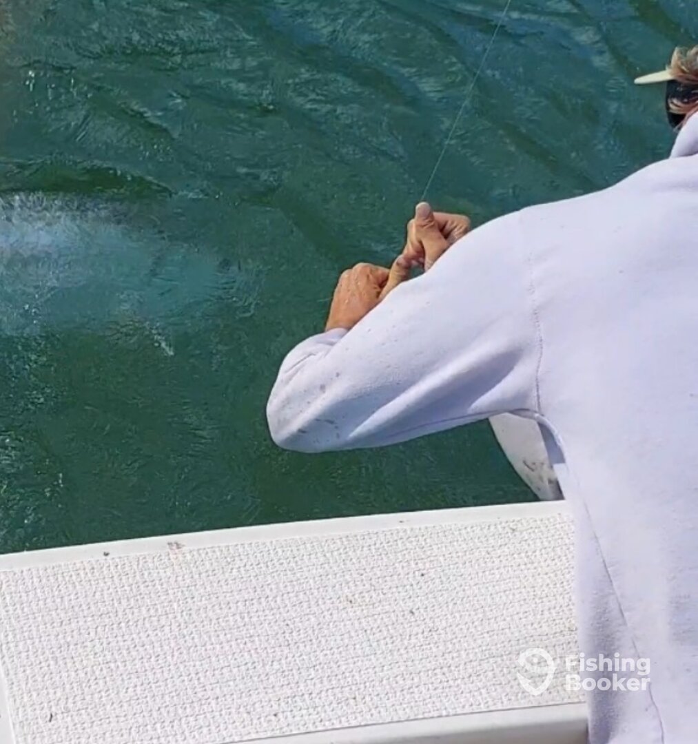 Islamorada Report Photo 0