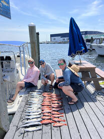 4hr inshore light tackle,Tide Up Charter