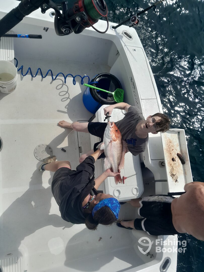 Niceville Report Photo 0