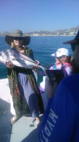 San Jose del Cabo Report Photo 1