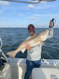 Galveston Report Photo 2