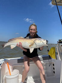 Galveston Report Photo 1
