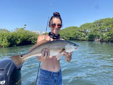 Sarasota Report Photo 1