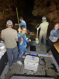 Orlando Report Photo 2