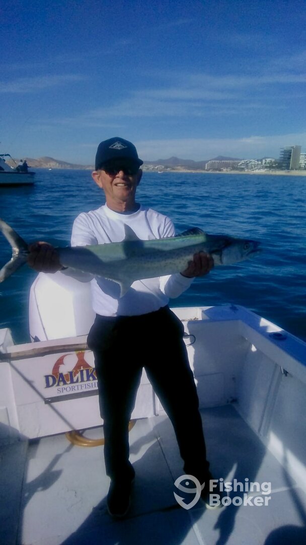 San Jose del Cabo Report Photo 0