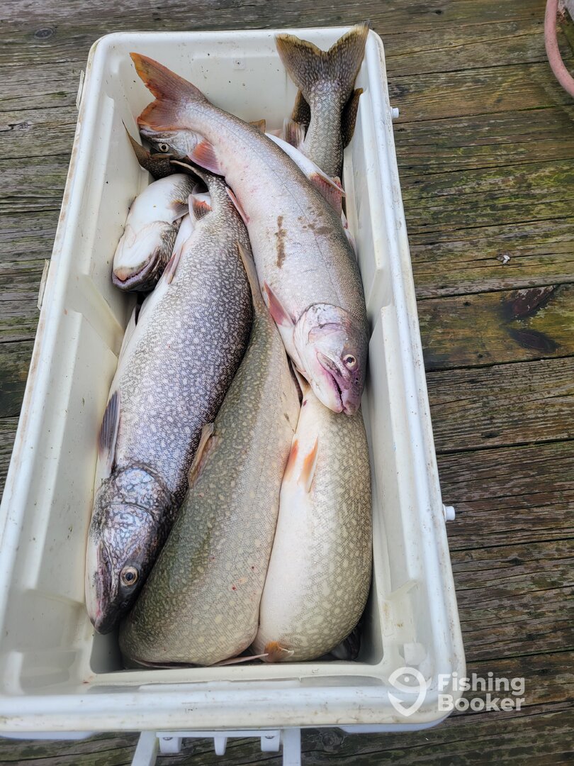 Manistee Report Photo 0