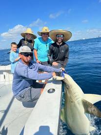 Dania Beach Report Photo 2