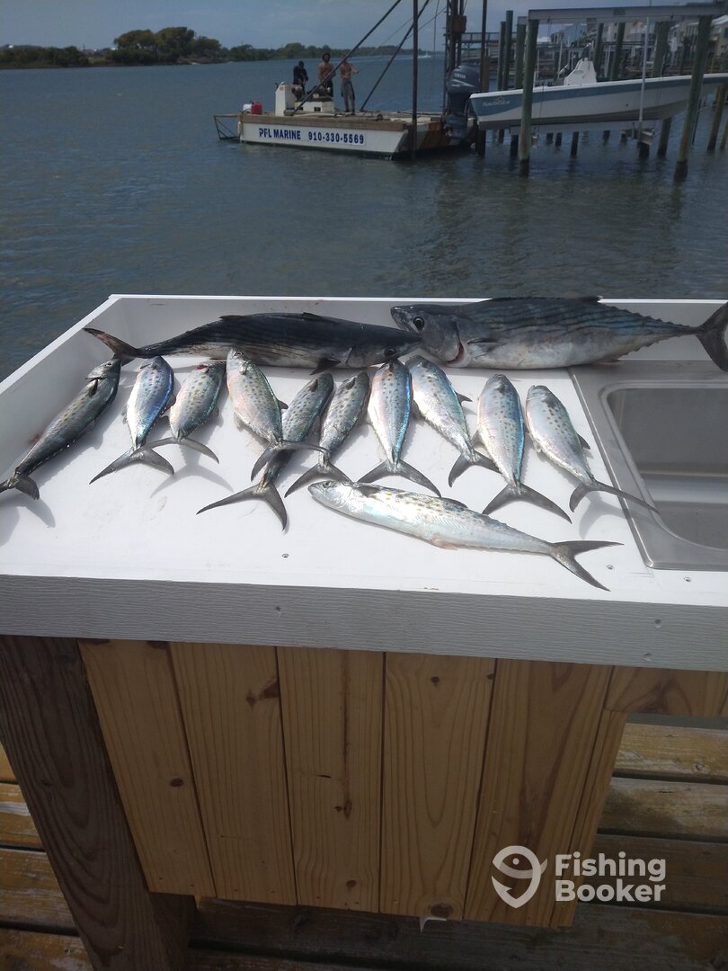 Sneads Ferry Report Photo 0
