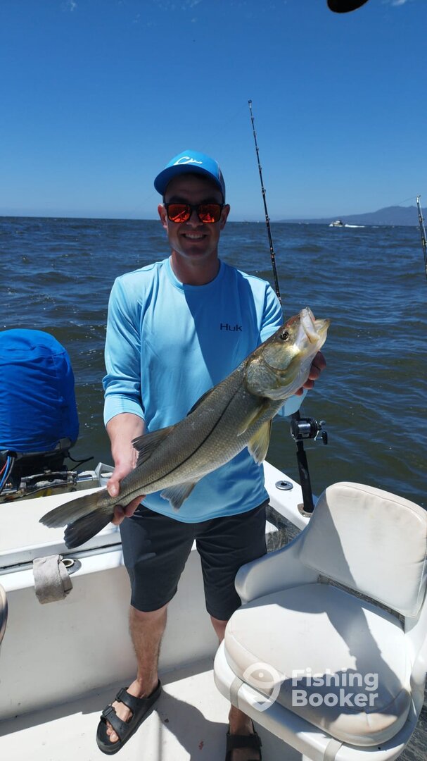 Puerto Vallarta Report Photo 0