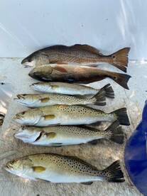 Carrabelle Report Photo 2